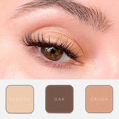 Seint Makeup Eyeshadow Brown Eyes, Sient Makeup, Neutral Eyeshadow Looks, Demi Makeup, Eyeshadow Combinations, Eyeshadow Brown Eyes, Makeup Brown Eyes, Makeup Eyeshadow Brown Eyes, Eyeshadow Brown