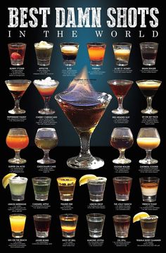 the best damn shots in the world poster is shown with different types of drinks and their names