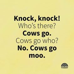 a yellow background with the words knock, knock who's there cows go? cows go who? no cows go moo