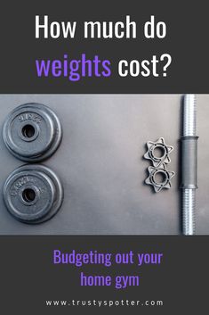 two dumbs, one with the words how much do weights cost?