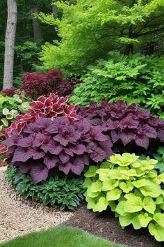 a garden filled with lots of green and purple flowers next to trees in the background