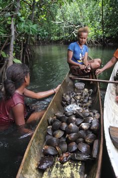 three people in canoes with mussels on the water