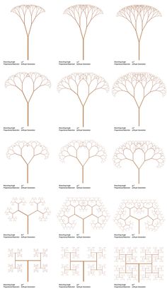 the different types of trees that can be seen in this image are shown on white paper