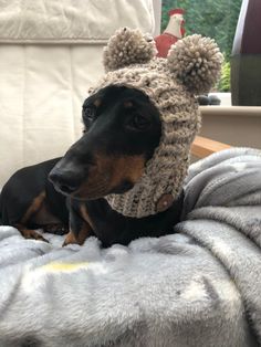 a black and brown dog laying on top of a bed wearing a knitted hat