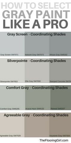 gray paint shades with the words how to select gray paint like a pro on them