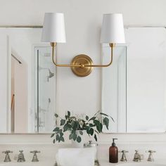 a bathroom sink with two lights on the wall and a plant in front of it