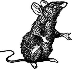 a drawing of a mouse sitting on its hind legs