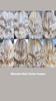 Ash Blonde Hair Platinum, Blonde Types Shades Color Charts, Champagne Platinum Blonde Hair, Kinds Of Blonde Hair Color, Brown To Blonde Hair Color Ideas, Blond Hair Tones, Cool Shades Of Blonde, Blond Hair Shades, Different Shades Of Blonde Highlights