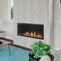 Do you think gas fireplaces need chimneys? No! The Monessen 42 Vent Free Fireplace lets you enjoy a cozier indoor room more easily. Get the best deal here! Traditional Fireplaces, Linear Gas Fireplace, Vent Free Gas Fireplace, Sleek Fireplace, Gas Fireplaces, Linear Fireplace, Fireplace Logs, Free Gas, Brick Paneling