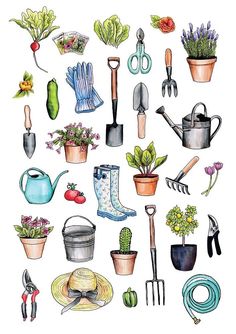 an illustration of gardening tools and flowers