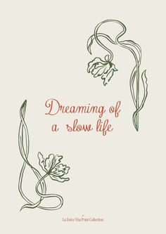 a book cover with the words dreaming of a slow life