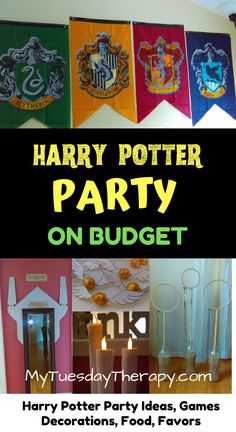 the harry potter party on budget