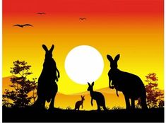 an australian sunset with kangaroos and birds