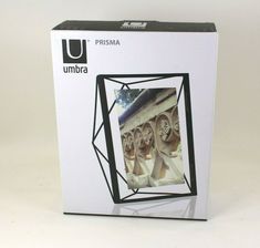 an unopened box for the umbra album, with images of lions on it