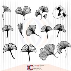 the silhouettes of flowers are drawn in black and white