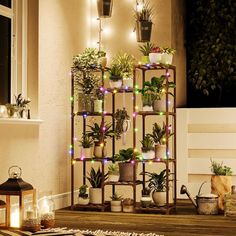 plant shelf 🪴🪴🌿🌿🍀🍀🌱🌱☘️🌱🌲🍀🪴🌿 indoor gardening Plants Shelf, Plant Stand Ideas, Tall Indoor Plants, Indoor Plant Stand, Tall Plant Stands, Corner Plant, Plants Pots, Mums Flowers, Living Room Patio