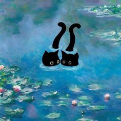 two black cats floating in the water with lily pads on it's sides and one has its eyes closed