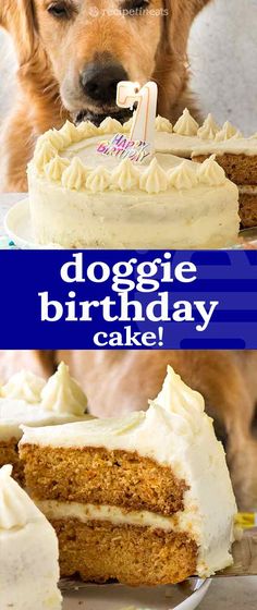 a dog looking at a birthday cake with the words doggie birthday cake on it