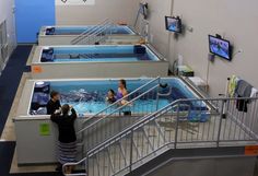 three people are standing in the middle of an indoor swimming pool with stairs leading up to it