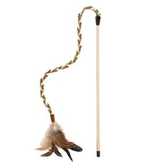 a stick with a feather on it next to a long rope and an object in the shape of a bird's wing