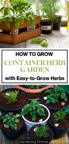 Growing a Container Herb Garden With with Easy-to-Grow Herbs Beds Inspiration, Herb Garden Boxes, Herb Garden Markers, Container Herb Garden, Small Herb Gardens, Grow Herbs, Herbs Garden