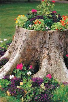 a large tree stump with flowers growing out of it's sides in a garden