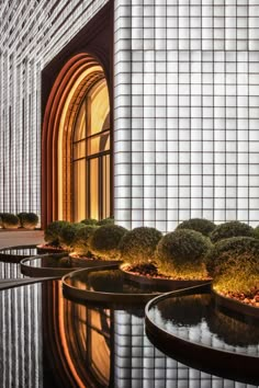 the reflection of an arched window is shown in this photo, with plants and rocks around it