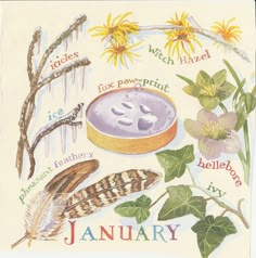 an image of a calendar with flowers and plants on it's side, including leaves