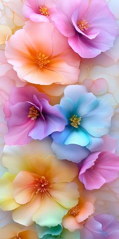 colorful flowers are arranged in the shape of a rainbow flower wallpaper, with multiple colors