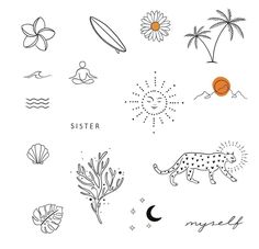 an image of different things that are in the sky and on the ground, including flowers