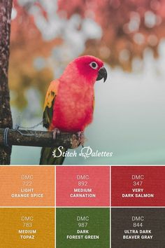 a red bird sitting on top of a tree branch in front of a colorful background