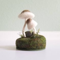 a small white mushroom sitting on top of a moss covered rock with grass growing out of it