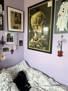 a black cat laying on top of a bed in a room with purple walls and pictures