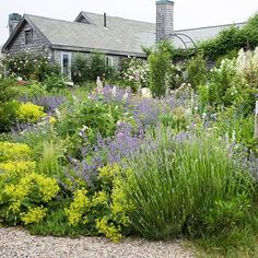 the house is surrounded by many different types of flowers