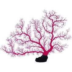 a red coral on a white background is shown in the shape of a heart shaped tree