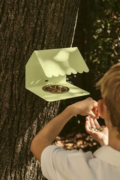 a young boy feeding his dog food out of a bird feeder on a tree trunk