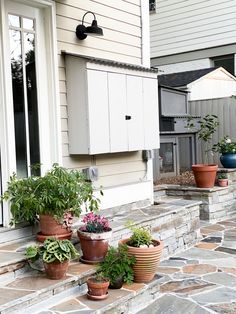 several potted plants sitting on the side of a house