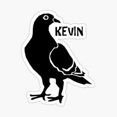 a black and white bird with the words kevin on it