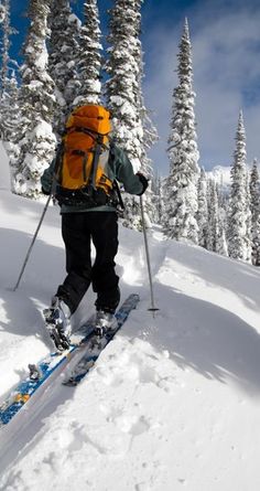 a man riding skis down the side of a snow covered slope next to trees