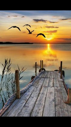 a dock with birds flying over the water at sunset