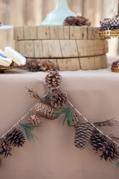 some pine cones are hanging on a table