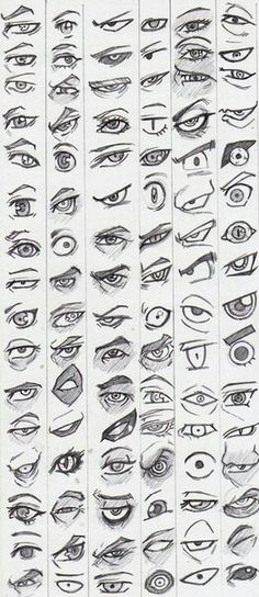 an image of various types of eyes and their features in each eyeballs, from the bottom to the top