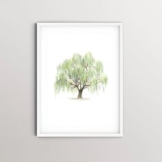 a watercolor painting of a tree with green leaves on it's branches, in front of a white wall