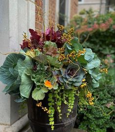 a planter filled with lots of different types of flowers