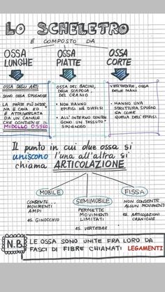 a hand drawn diagram with different types of writing on it, including the words in spanish and