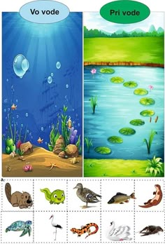 an ocean scene with fish, turtles and other marine creatures in the same place to be colored