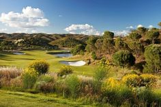 a golf course surrounded by trees and bushes with yellow flowers on the grass in front