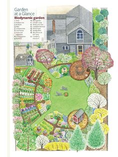 an illustrated garden with lots of trees and plants in it, including the ground plan