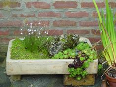 a planter filled with lots of plants next to a brick wall and potted grass