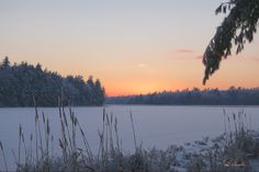 the sun is setting over a lake with snow on the ground and trees in the background